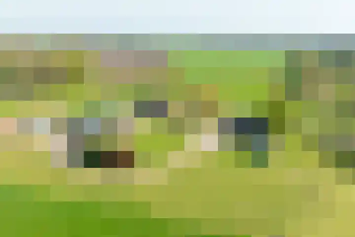 Markerinkdijk 42 Aalten thumbnail 7