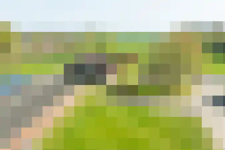 Markerinkdijk 42 Aalten thumbnail 8