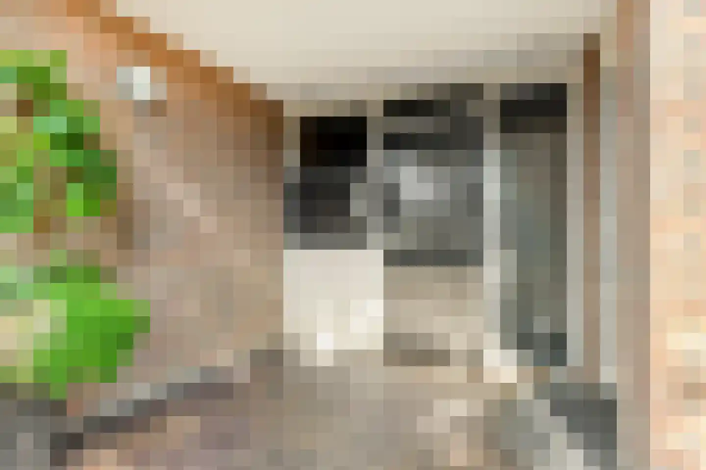 Markerkade 12 Purmerend thumbnail 6