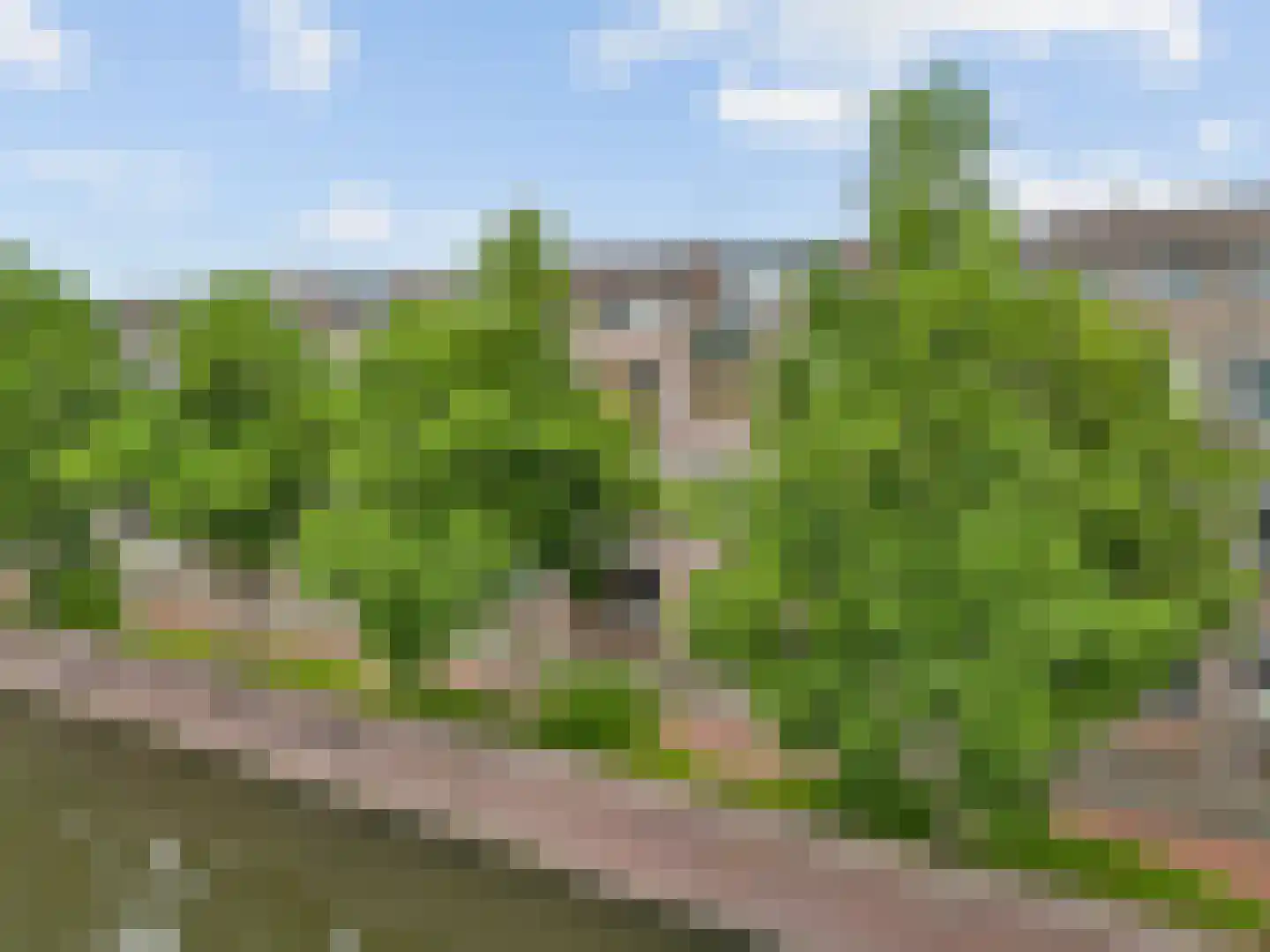 Markerkade 16 Purmerend thumbnail 26