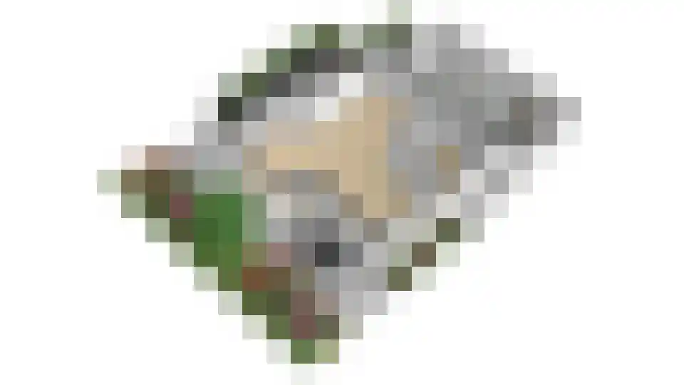 Markerkant 13 6 Almere thumbnail 69