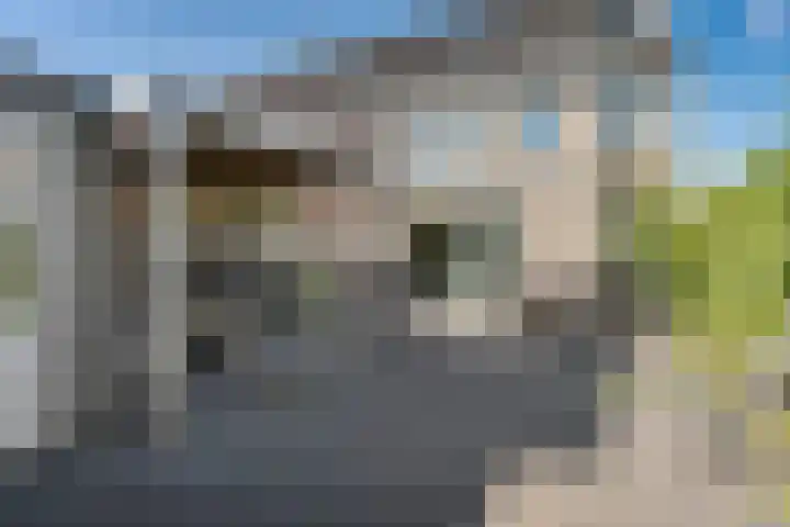 Markermeer 34 Zoetermeer thumbnail 30