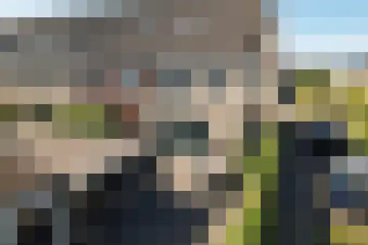 Markermeer 34 Zoetermeer thumbnail 31