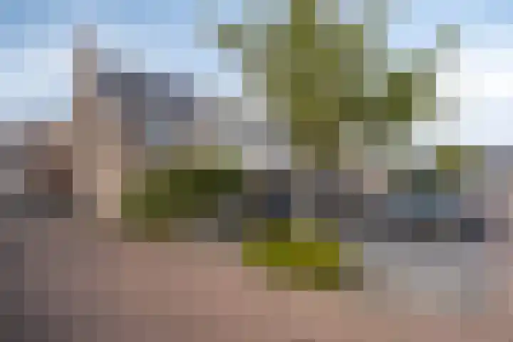 Markermeerstraat 26 Berkel en Rodenrijs thumbnail 26