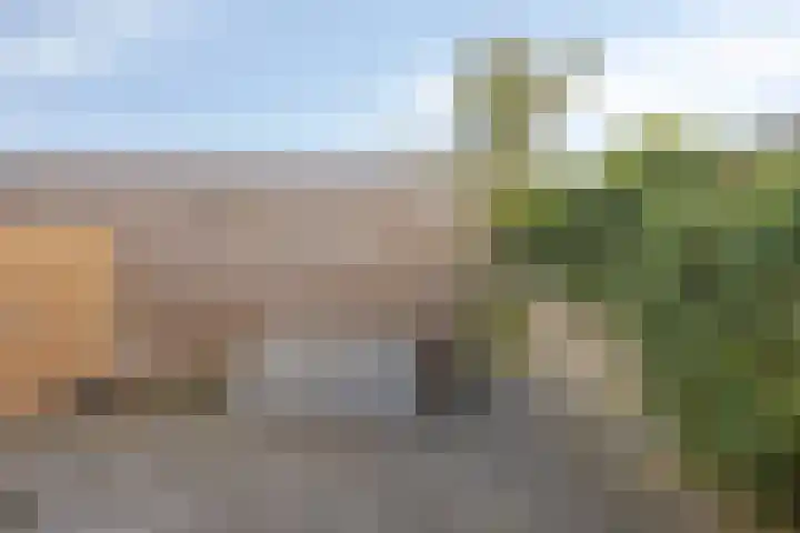 Markermeerstraat 26 Berkel en Rodenrijs thumbnail 9