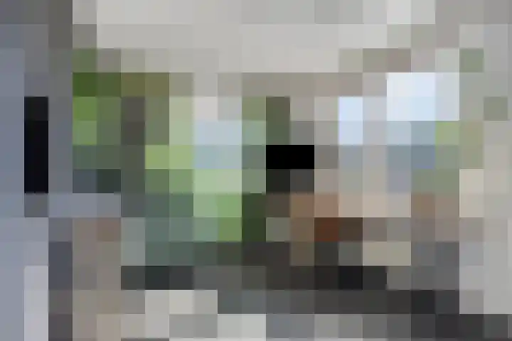 Markermeerstraat 40 Berkel en Rodenrijs thumbnail 33