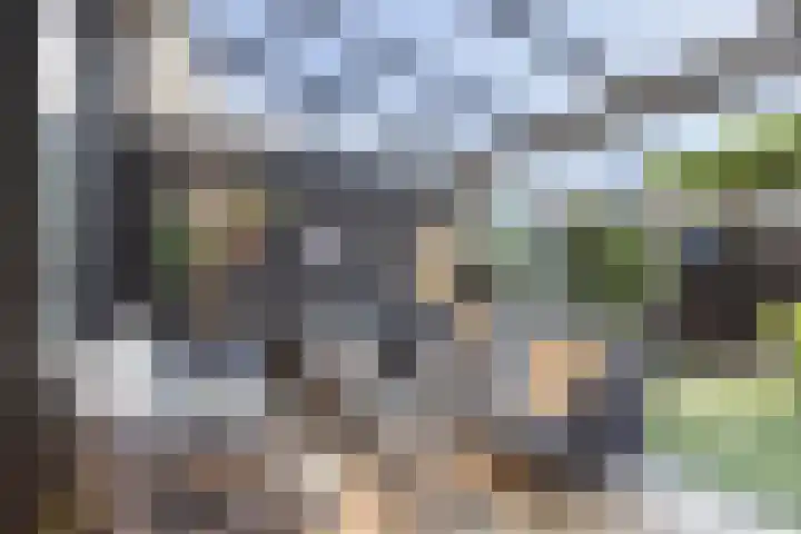 Markermeerstraat 40 Berkel en Rodenrijs thumbnail 8