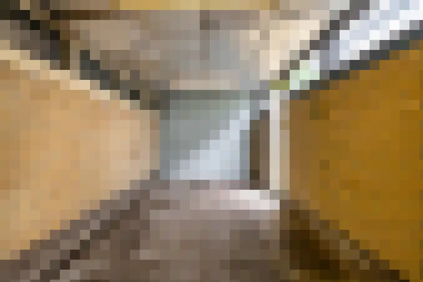 Markescheiding 44 Gieten thumbnail 32