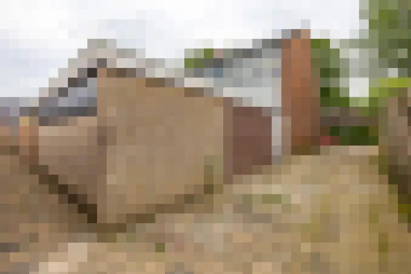 Markescheiding 44 Gieten thumbnail 33