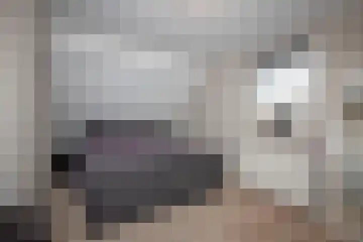 Markesingel 21 Hengevelde thumbnail 30