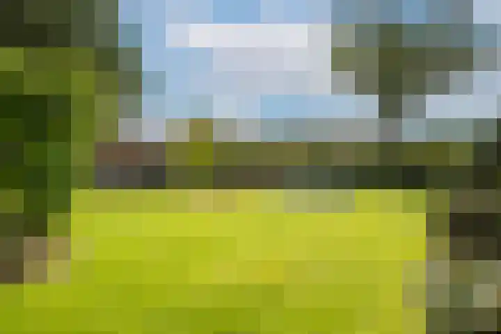 Markesingel 21 Hengevelde thumbnail 47