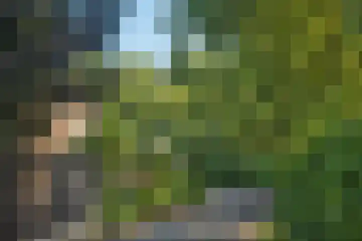 Markesingel 21 Hengevelde thumbnail 52