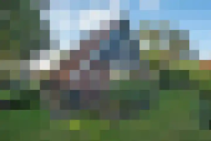 Markesingel 21 Hengevelde thumbnail 6