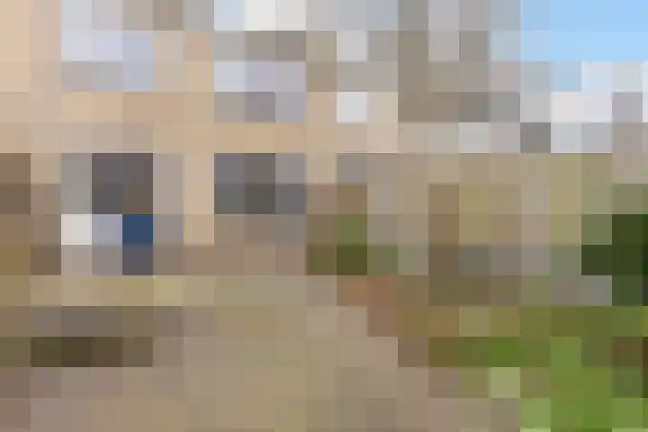 Markestraat 91 Borger thumbnail 15