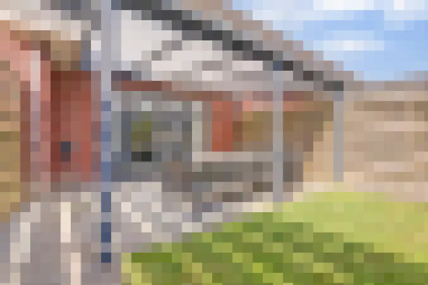 Market Garden 19 Groesbeek thumbnail 38