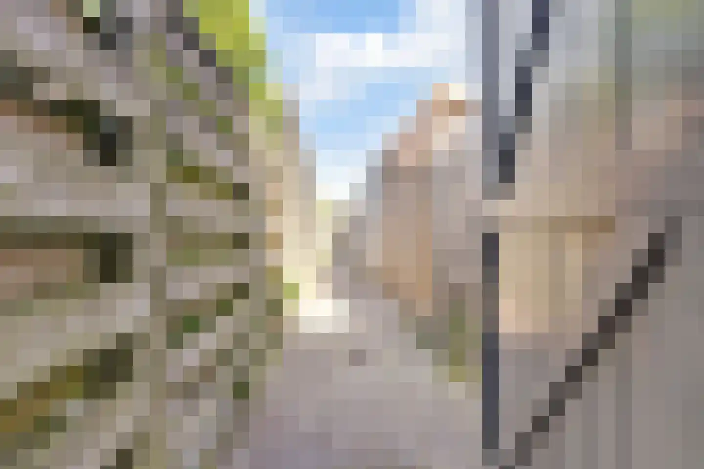 Market Garden 19 Groesbeek thumbnail 39