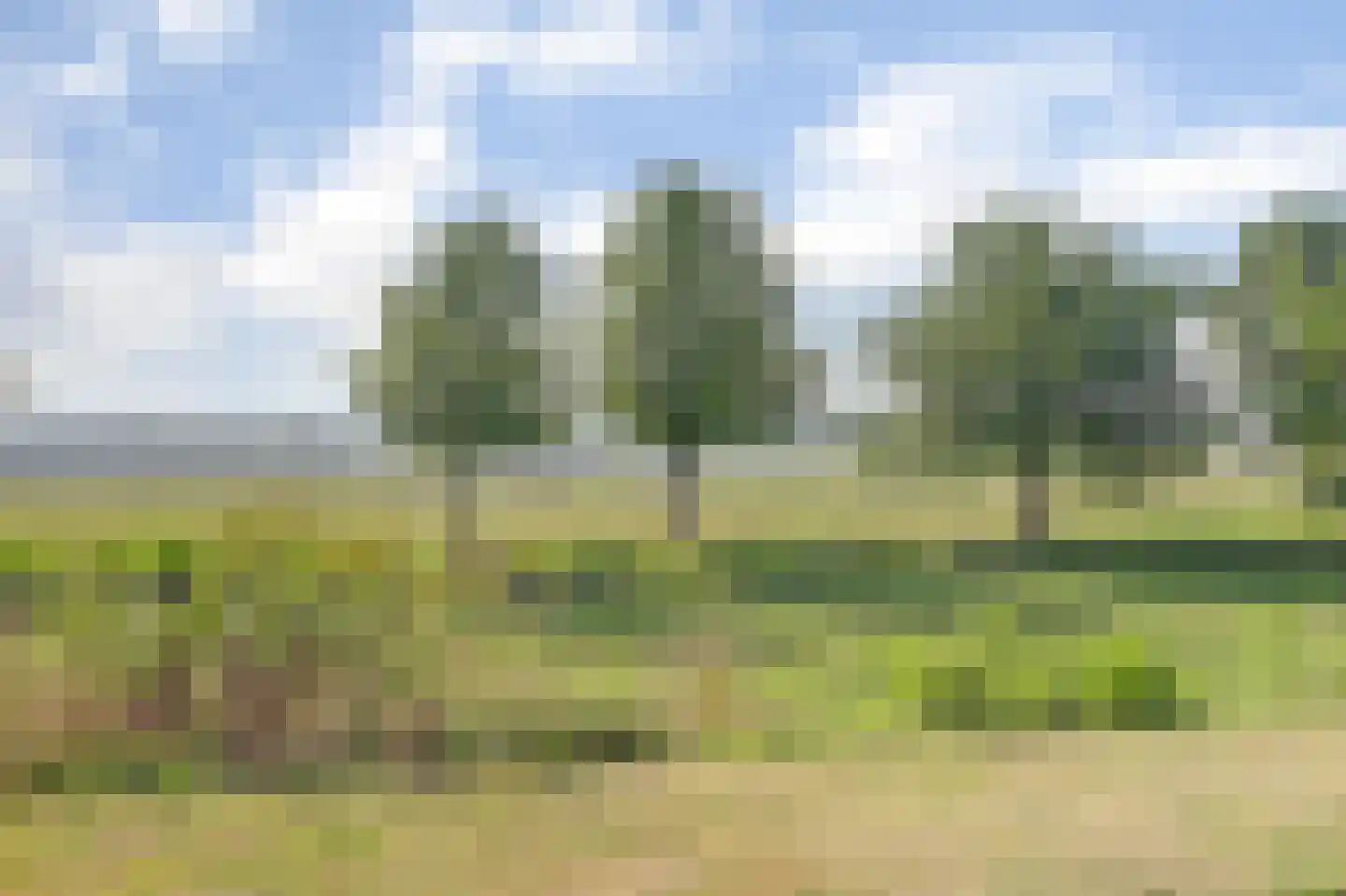 Market Garden 19 Groesbeek thumbnail 43