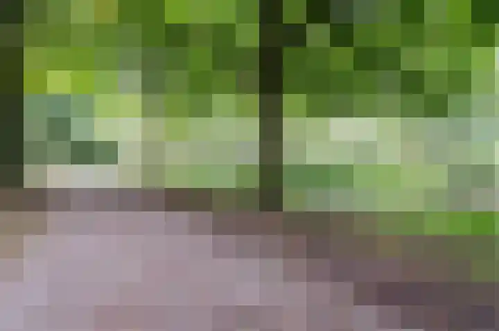 Marketentster 32 Amstelveen thumbnail 36