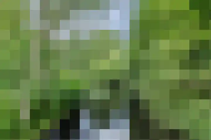 Marketentster 32 Amstelveen thumbnail 37