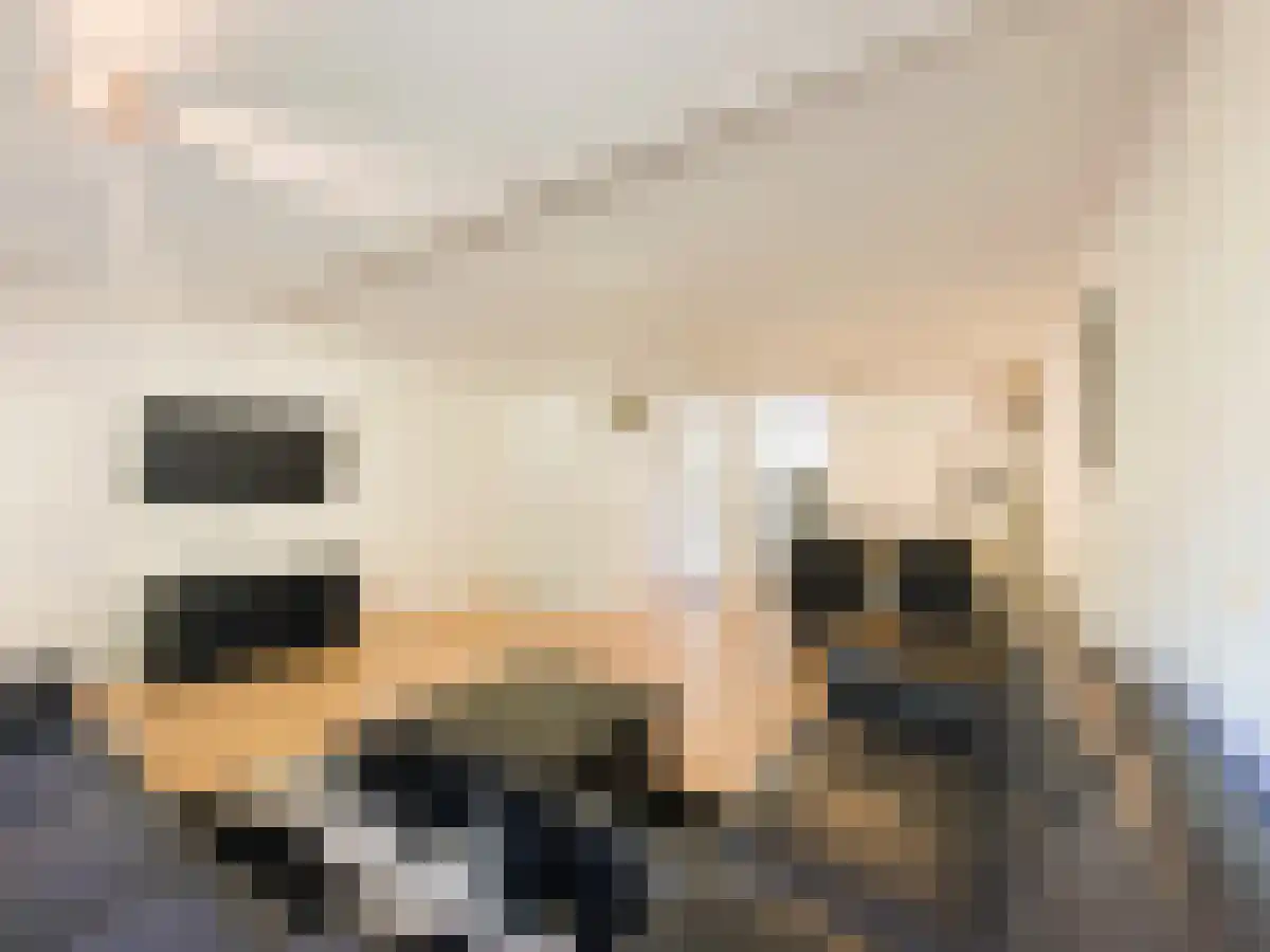 Marketentster 40 Amstelveen thumbnail 5