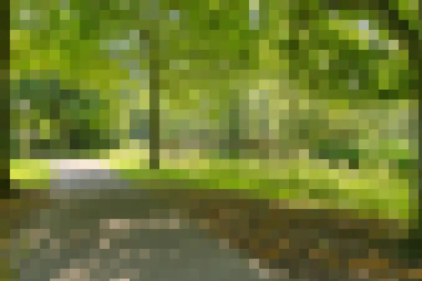 Marketentster 55 Amstelveen thumbnail 36