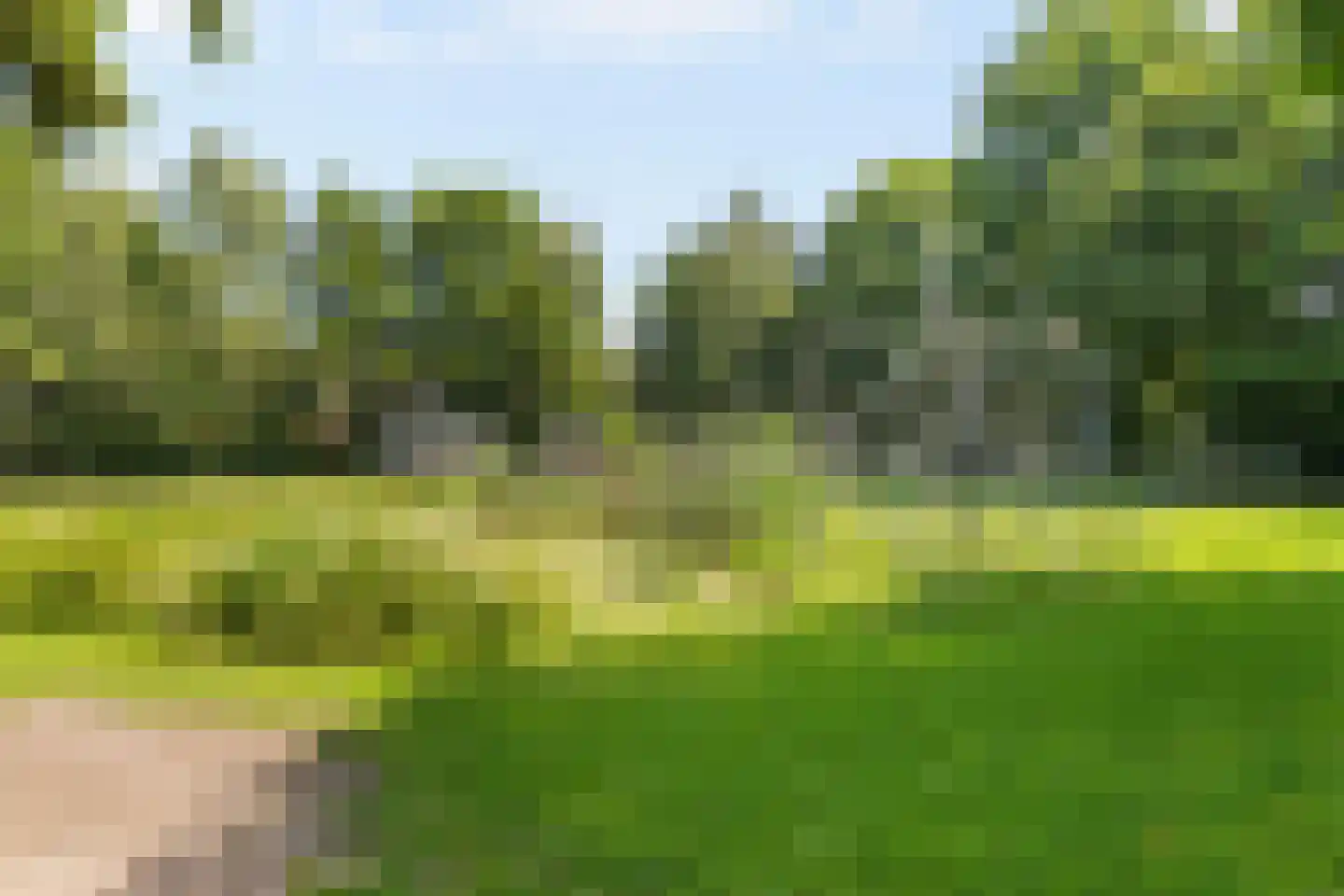 Marketentster 55 Amstelveen thumbnail 37
