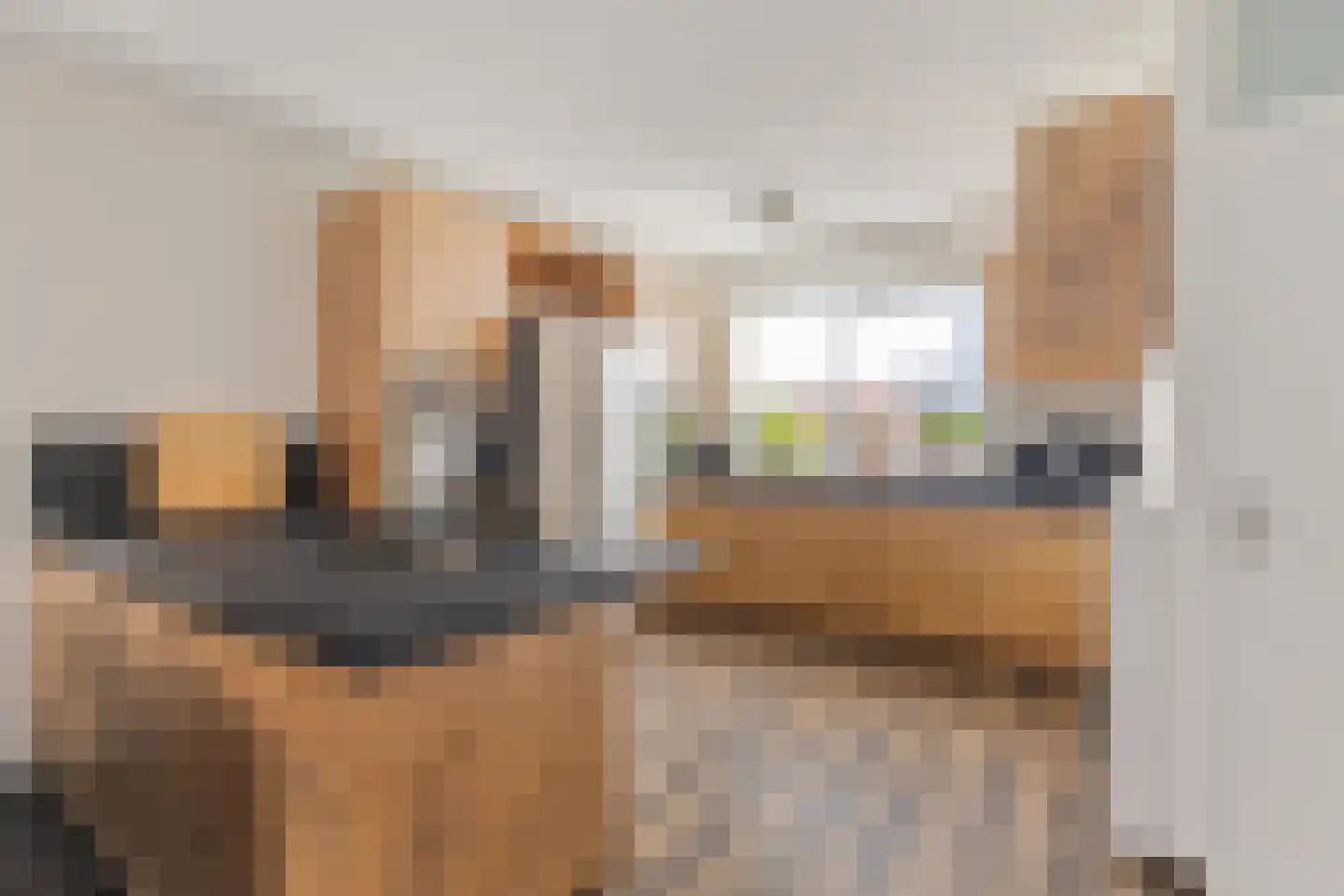 Marketentster 55 Amstelveen thumbnail 6