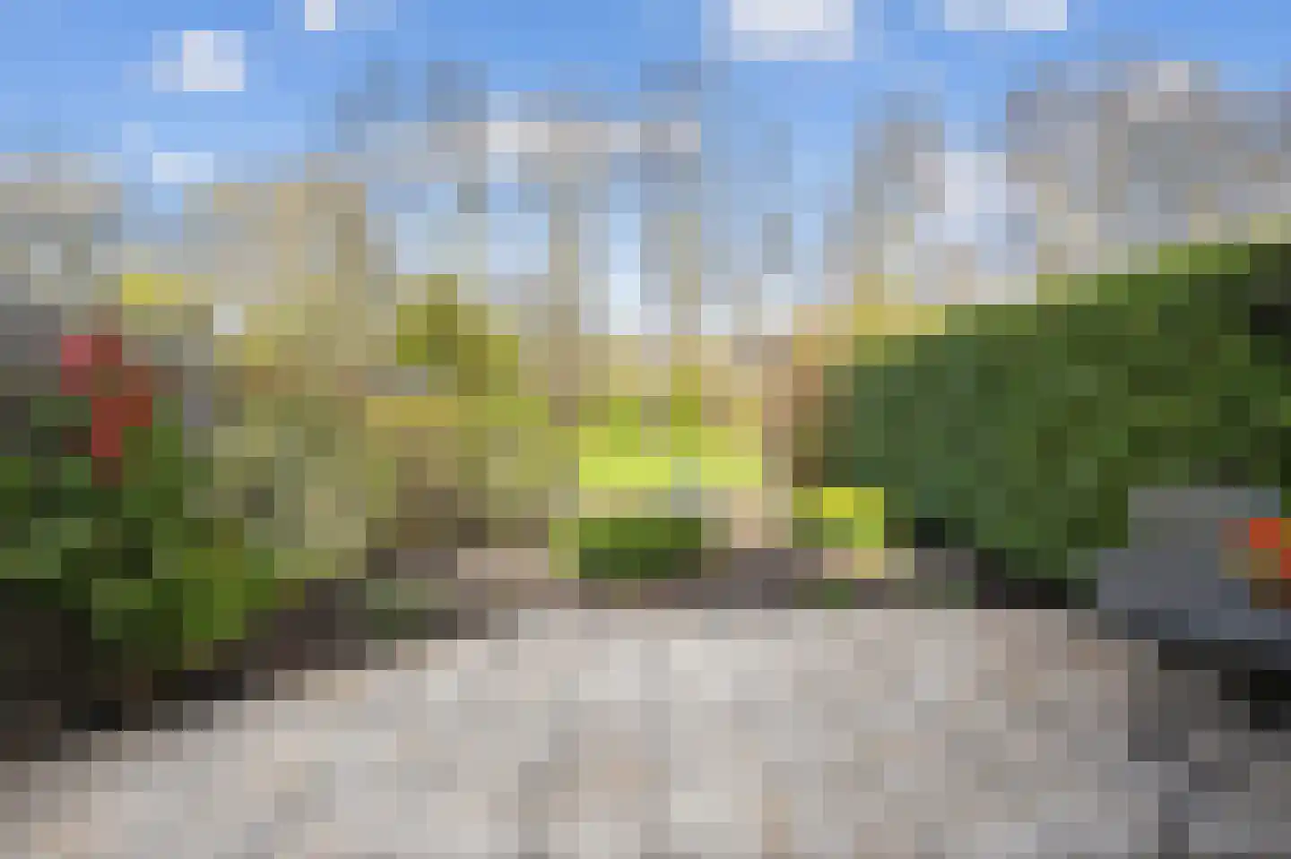 Marketentster 78 Amstelveen thumbnail 16