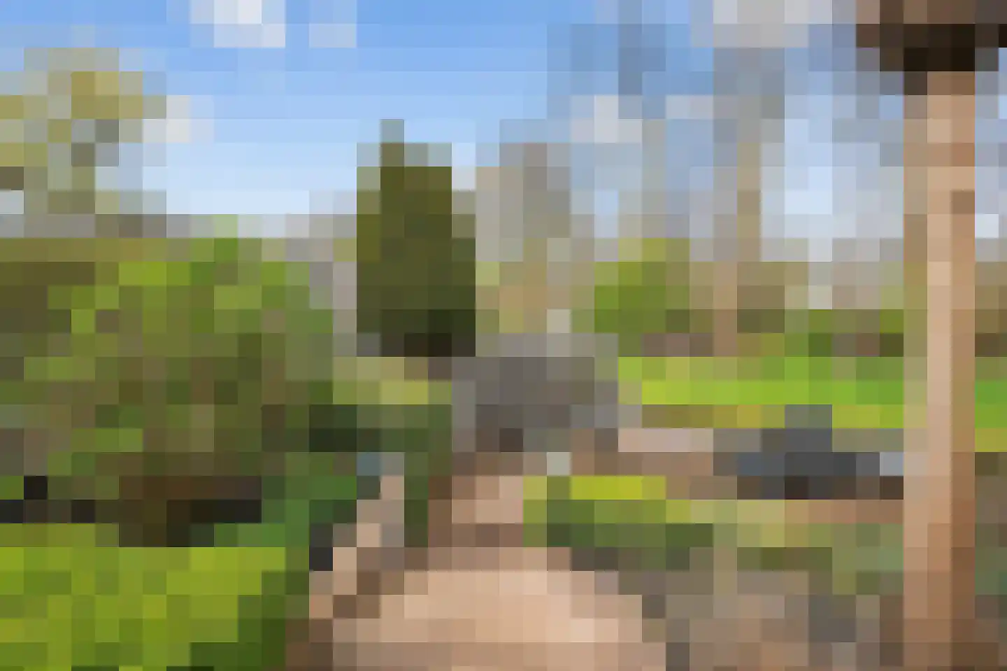 Marketentster 78 Amstelveen thumbnail 17