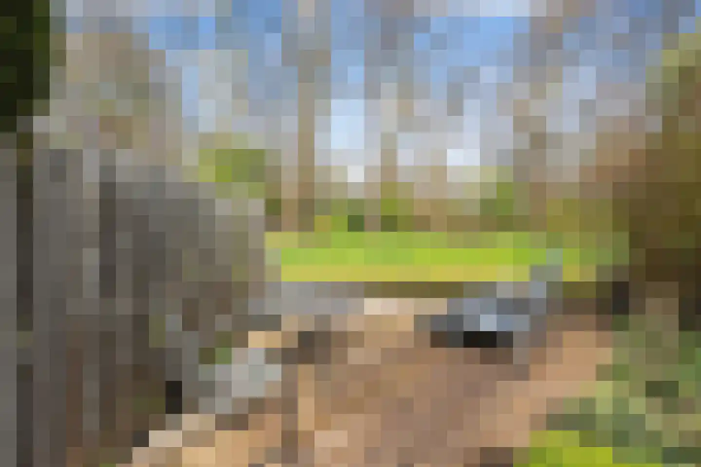 Marketentster 78 Amstelveen thumbnail 18