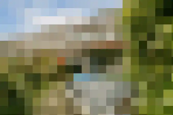 Marketentster 80 Amstelveen thumbnail 10