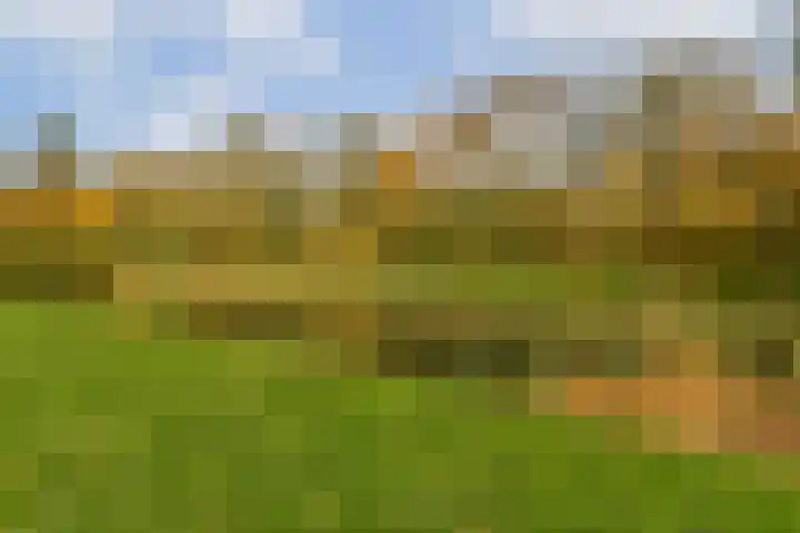 Marketentster 80 Amstelveen thumbnail 27