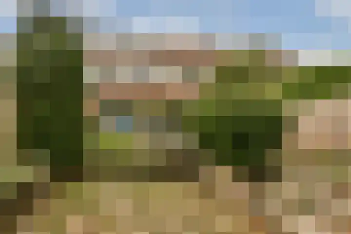 Marketentster 80 Amstelveen thumbnail 4