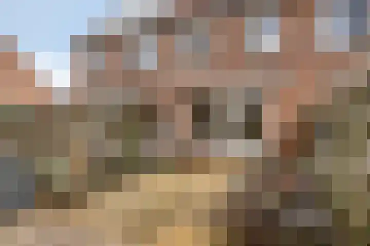 Marketentster 82 Alphen aan den Rijn thumbnail 4