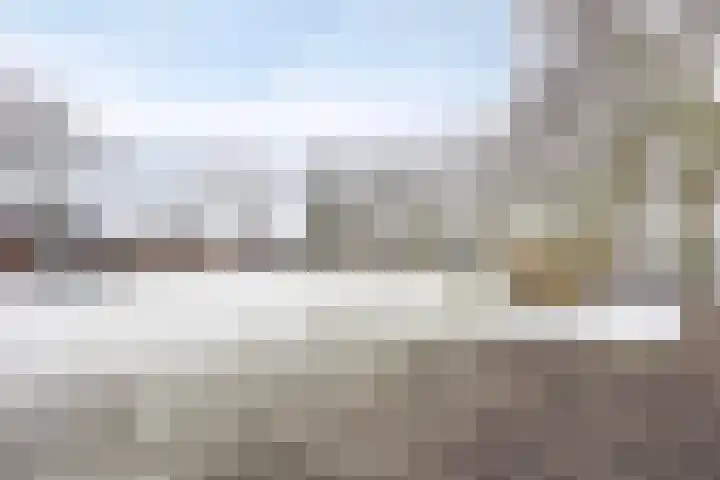 Marketentster 82 Alphen aan den Rijn thumbnail 49