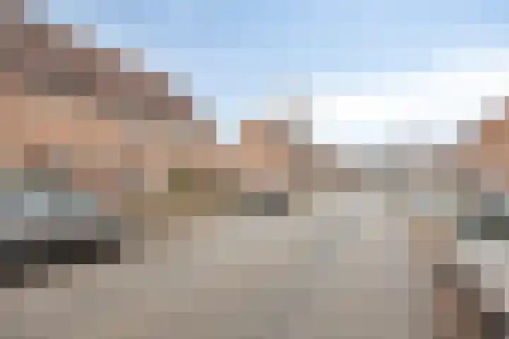 Marketentster 82 Alphen aan den Rijn thumbnail 5