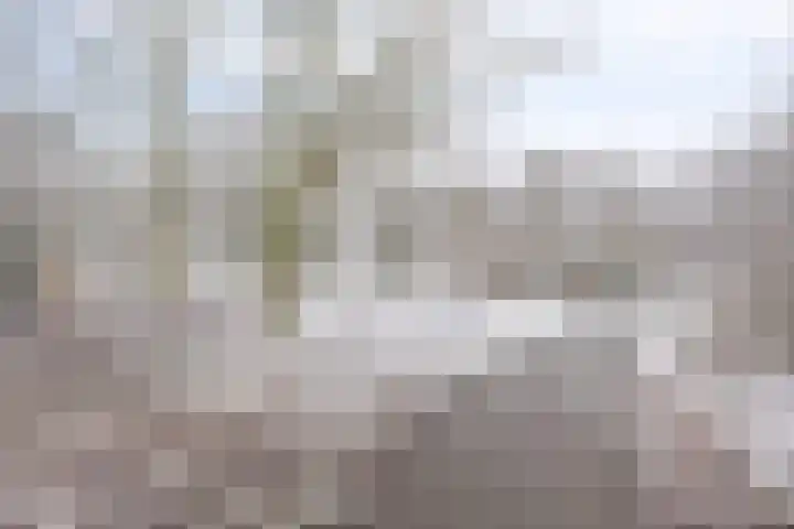 Marketentster 82 Alphen aan den Rijn thumbnail 51