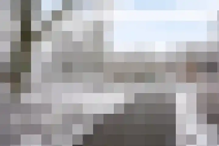 Marketentster 82 Alphen aan den Rijn thumbnail 52