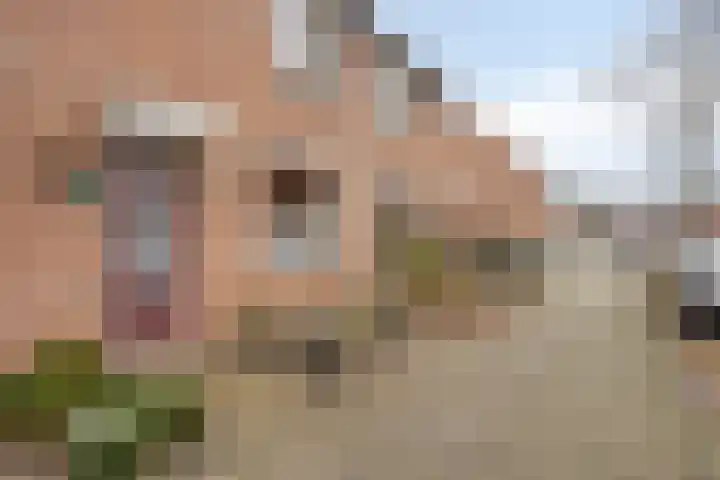 Marketentster 82 Alphen aan den Rijn thumbnail 7