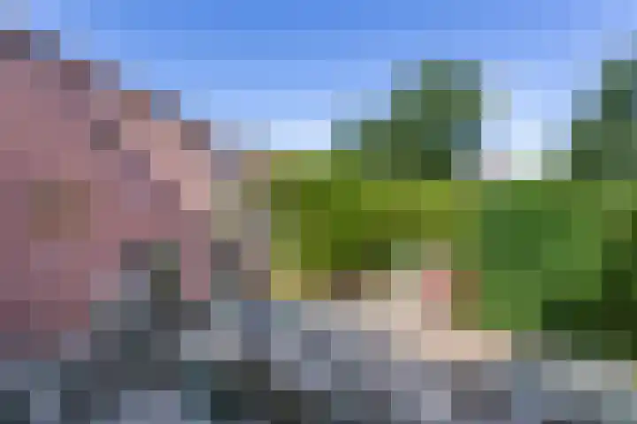 Marketentsterlaan 11 De Meern thumbnail 12