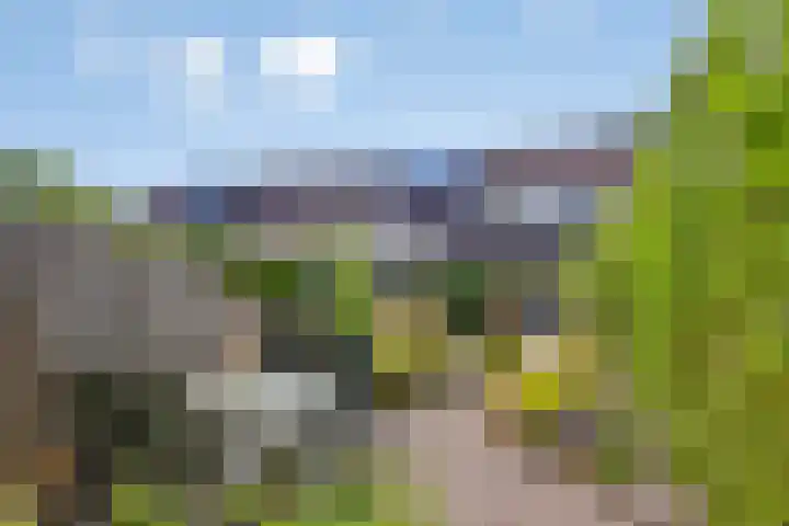 Marketentsterlaan 11 De Meern thumbnail 14