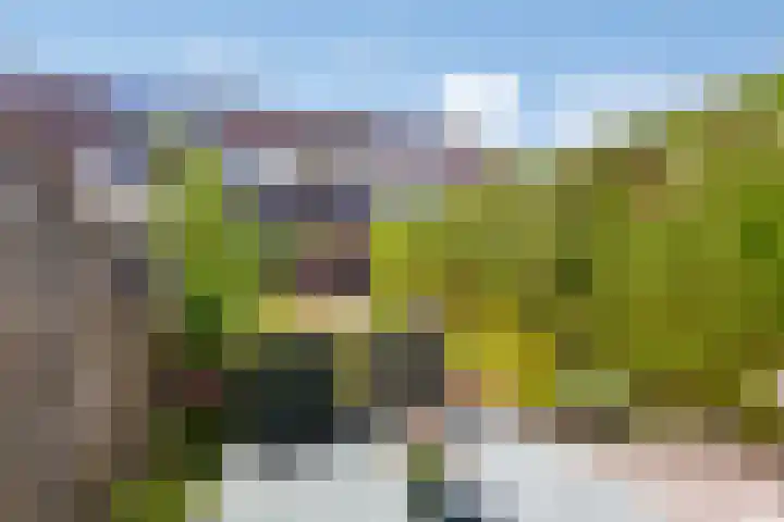 Marketentsterlaan 11 De Meern thumbnail 15