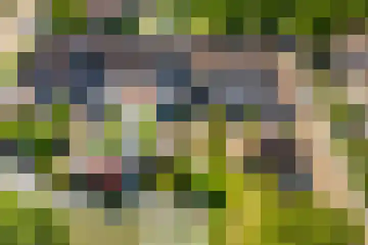 Marketentsterlaan 11 De Meern thumbnail 17