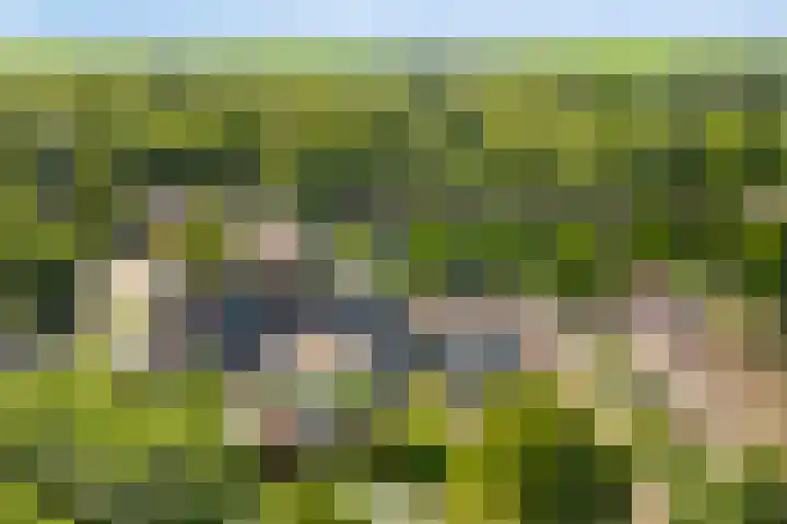 Marketentsterlaan 11 De Meern thumbnail 18