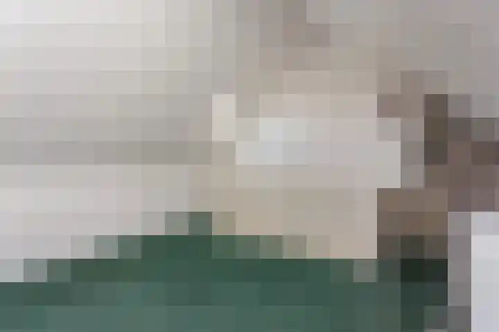Marketentsterlaan 11 De Meern thumbnail 31