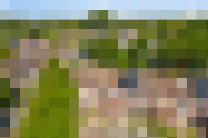 Marketentsterlaan 11 De Meern thumbnail 36