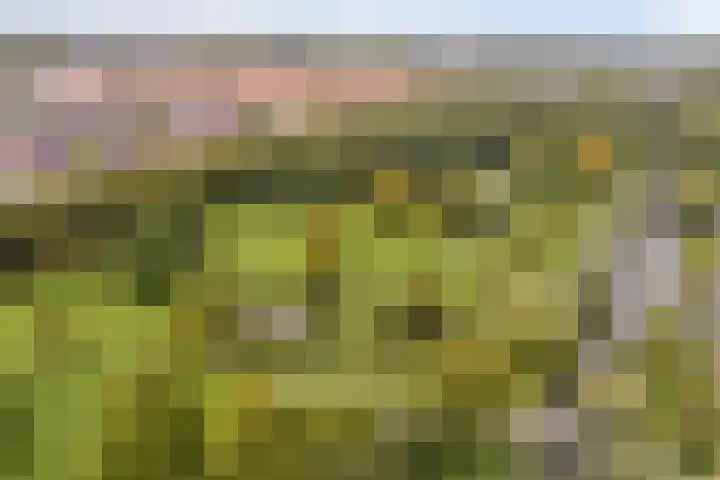 Marketentsterlaan 11 De Meern thumbnail 40