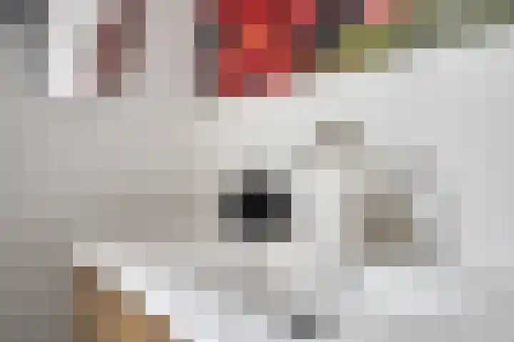 Marketentsterlaan 17 De Meern thumbnail 16