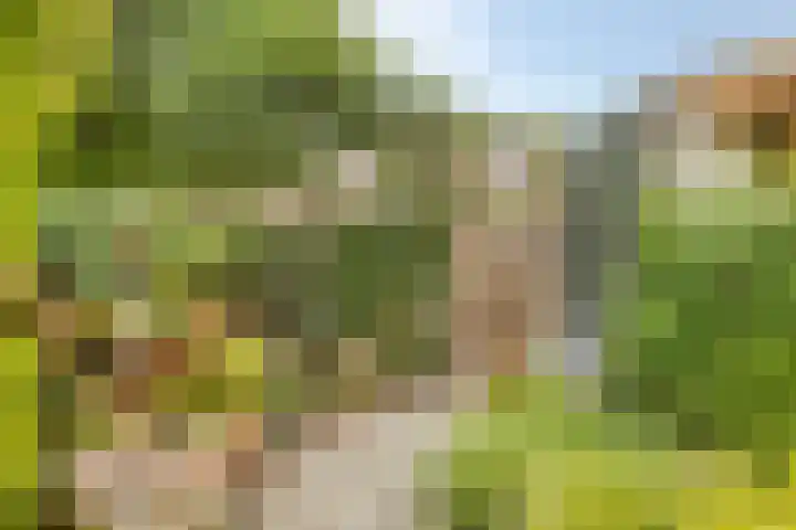 Marketentsterlaan 17 De Meern thumbnail 24