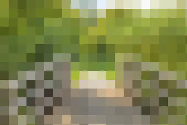 Marketentsterlaan 17 De Meern thumbnail 31
